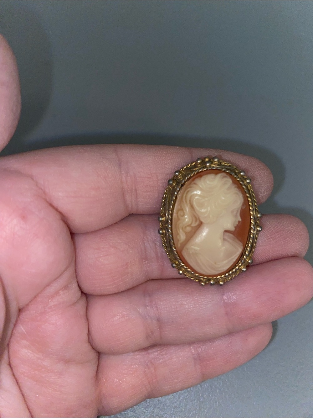 Stunning Vintage Cameo Brooch